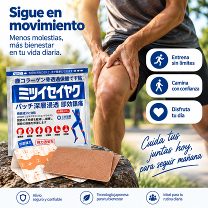 MitsuFlex Pro Parches Microagujas