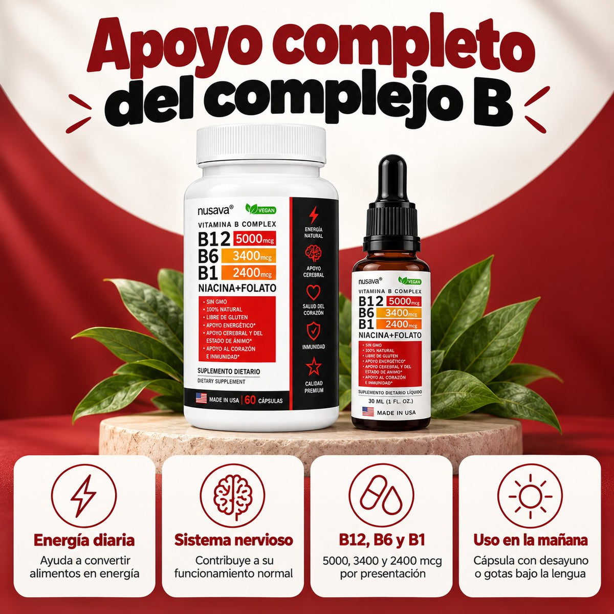 Apoyo completo del complejo B